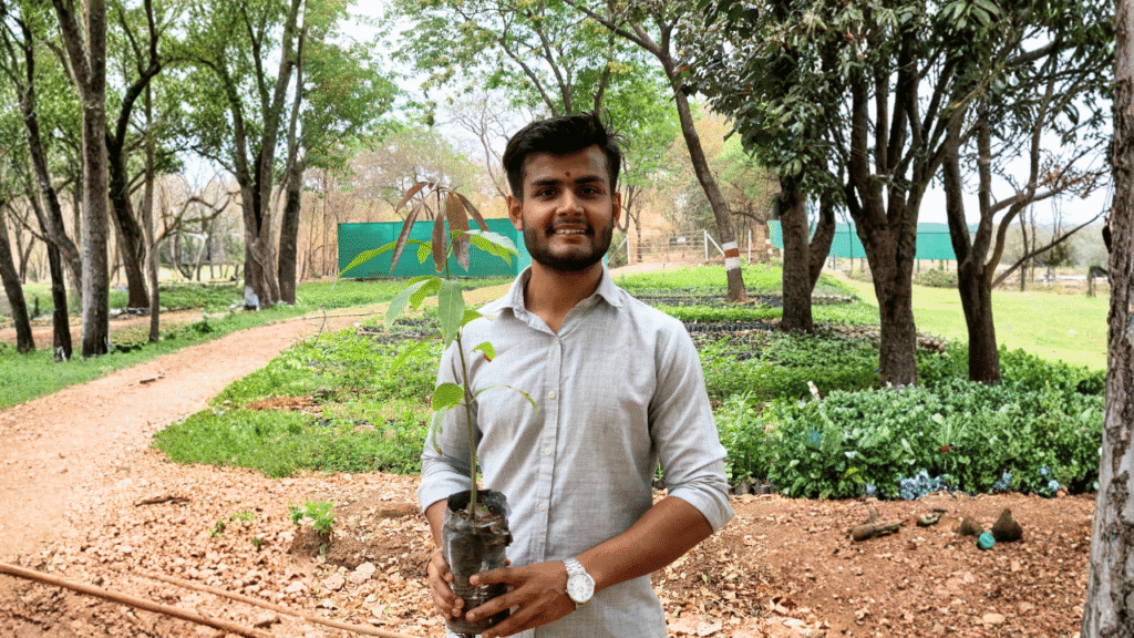 Tree Plantation Drives Changing Rural India